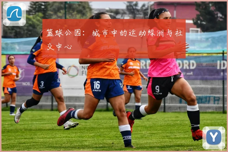 篮球公园:城市中的运动绿洲与社交中心